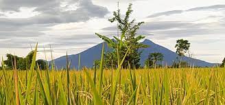 Agus Setiawan, A.Md.Kep.